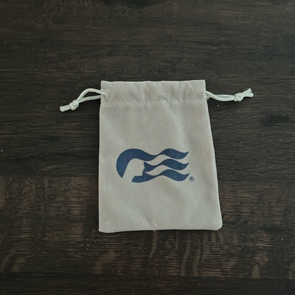 Princess cruise drawstring bag (card for reference not a part of sale)